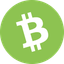 Bitcoin Cash logo