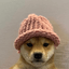 dogwifhat logo